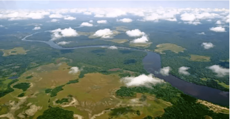 Conservation de la Biodiversité
